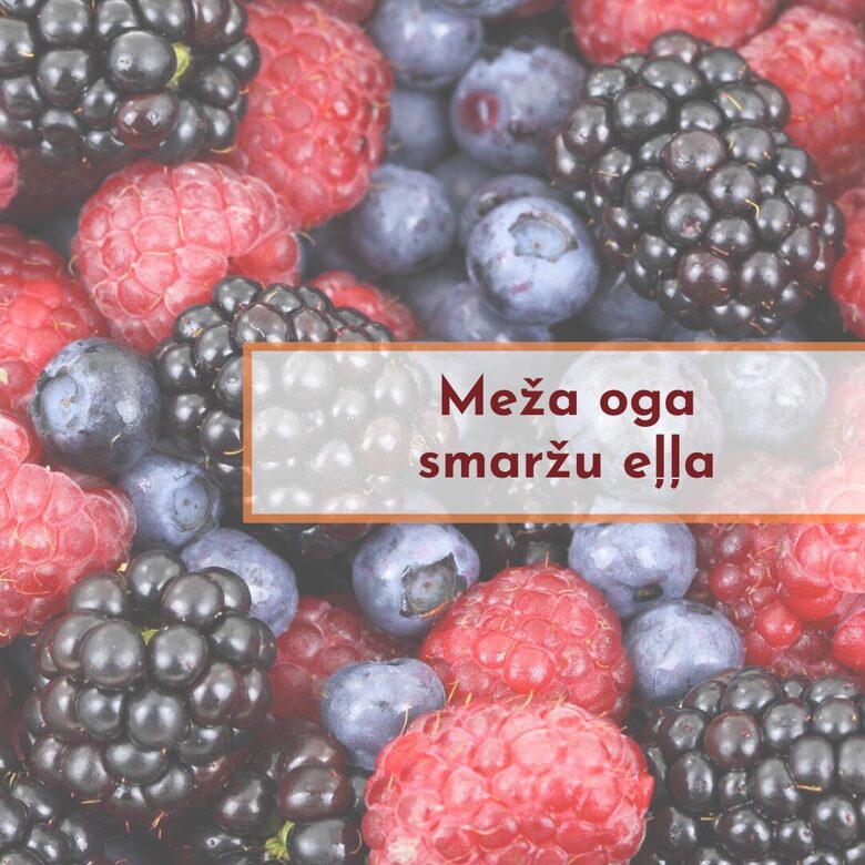 "Meža ogas"