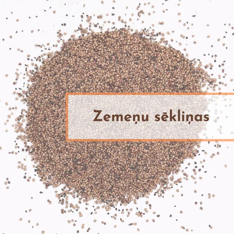 Zemeņu sēkliņas