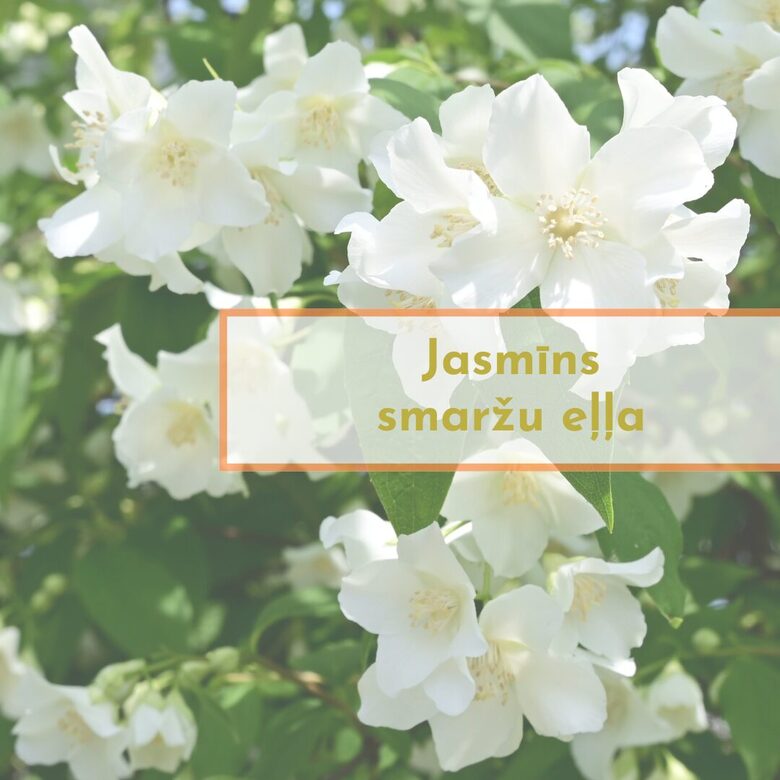 "Jasmīns"