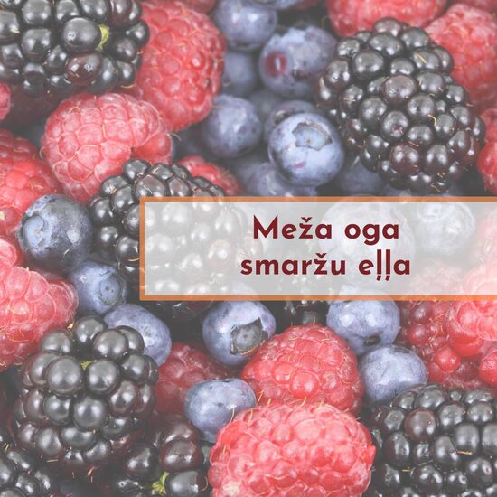"Meža ogas"
